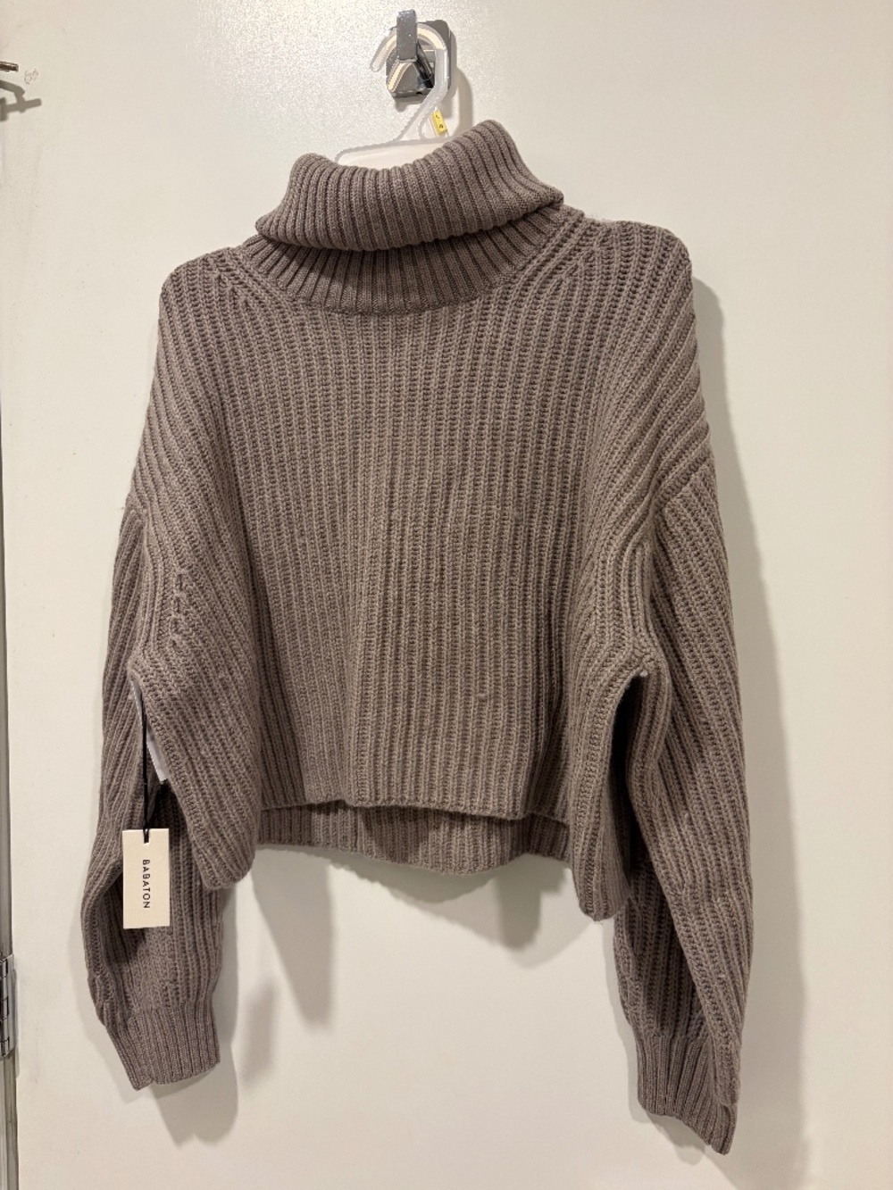 Aritzia Cropped Turtleneck